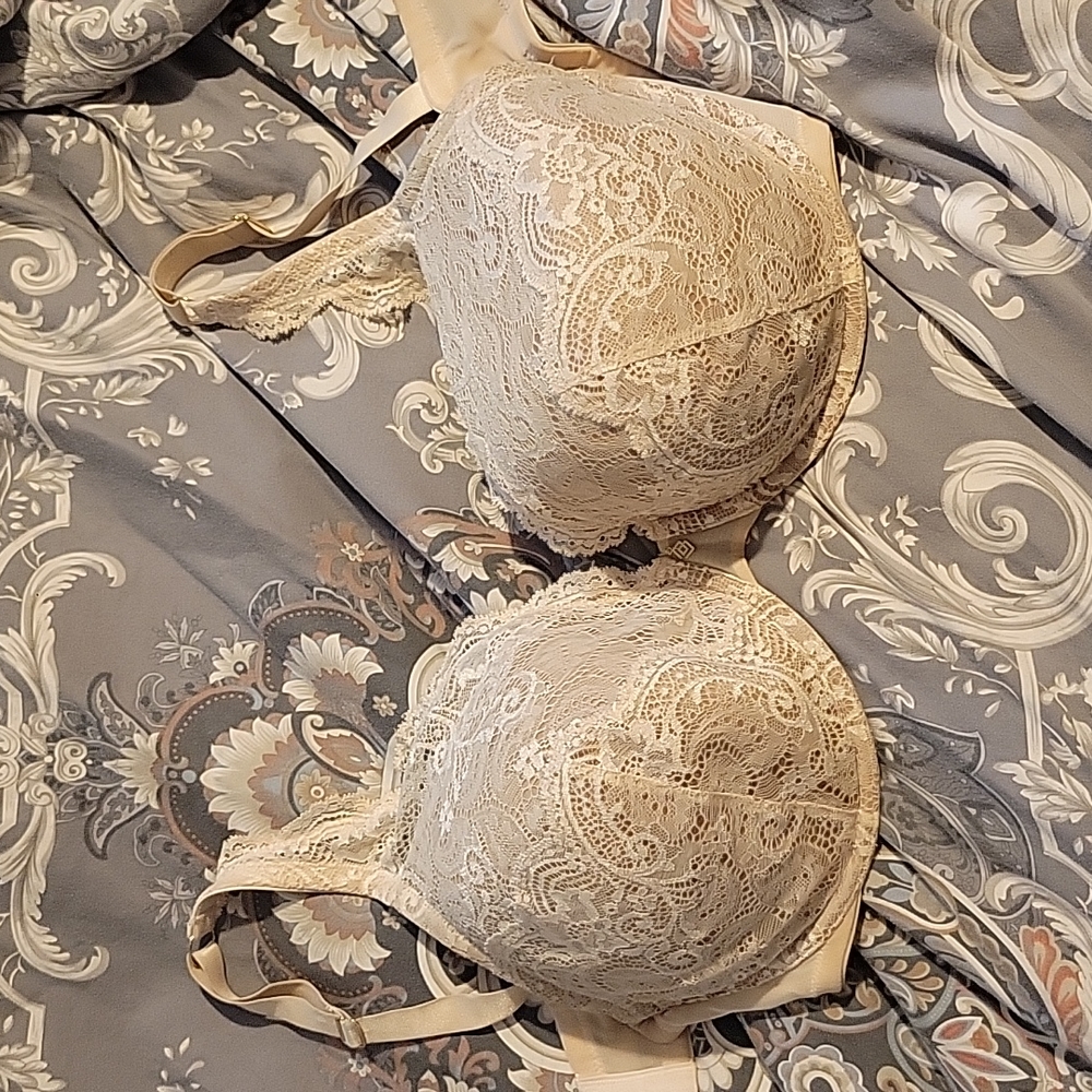 40E bra